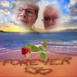 das zu meldende Bild