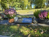 ein Bild aus dem Album